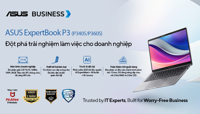 ASUS ExpertBook P3