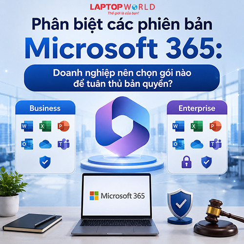 Phân biệt các phiên bản Microsoft 365: Doanh nghiệp nên chọn gói nào để tuân thủ bản quyền?