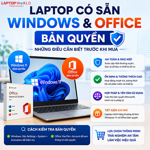Laptop có sẵn Windows và Office bản quyền: Những điều cần biết trước khi mua