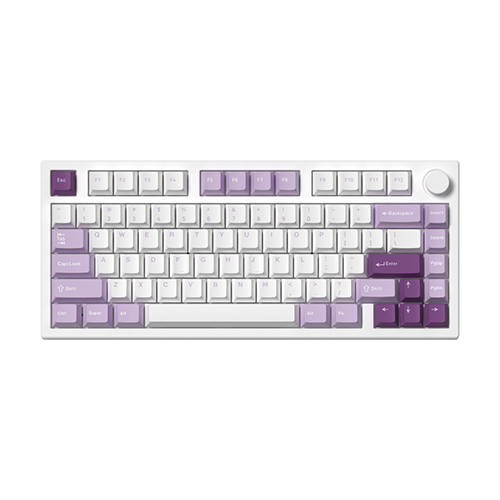 Bàn phím cơ FL-Esports GP75 CPM Taro Purple 3 Mode TTC Neptune switch