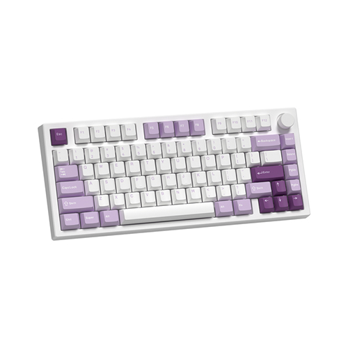 Bàn phím cơ FL-Esports GP75 CPM Taro Purple 3 Mode TTC Neptune switch