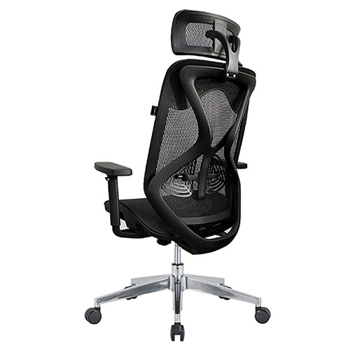 Ghế công thái học Ergonomic E-Dra EEC227