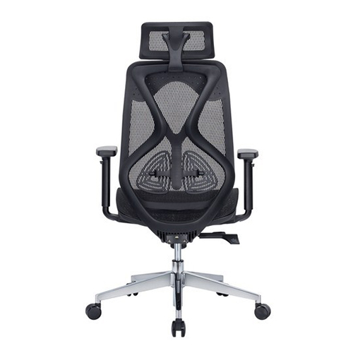 Ghế công thái học Ergonomic E-Dra EEC227