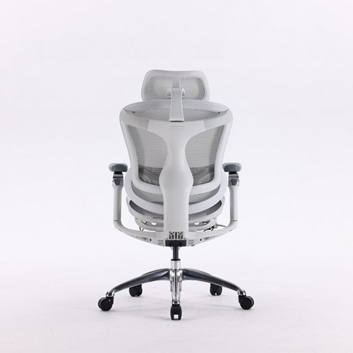 Ghế công thái học ergonomic SIHOO A3C (Doro C300) White