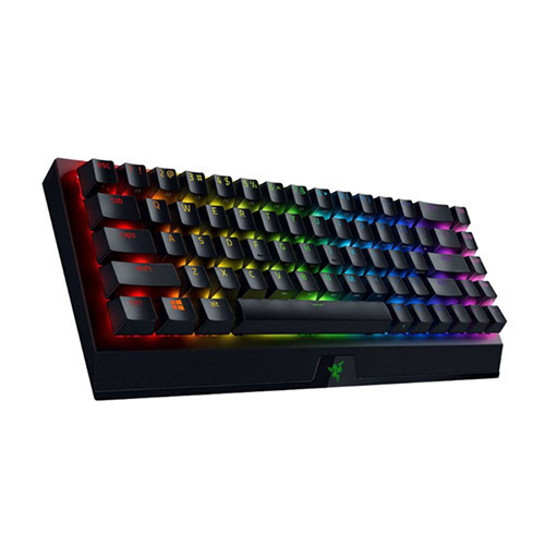 Bàn phím cơ Razer BlackWidow V3 Mini HyperSpeed Green Switch (RZ03-03891400-R3M1)