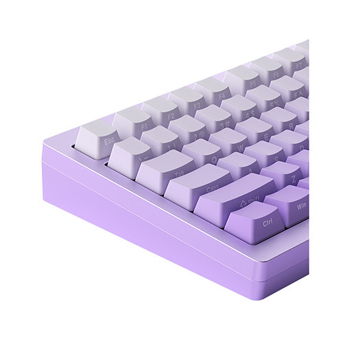 Bàn phím MonsGeek M1W HE-SP V3 Lilac Purple