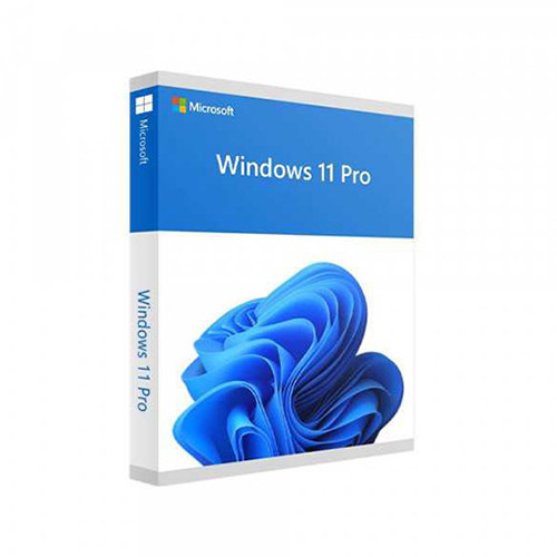 Phần mềm Microsoft Win Pro 11 64bit Eng USB FPP/HAV-00163