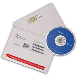 Windows Server Std 2019 64Bit English 1pk DSP OEI DVD 16 Core (P73-07788)