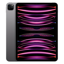 iPad Pro M2 11 inch Wi-Fi + Cellular 128GB Space Gray MNYC3ZA/A 