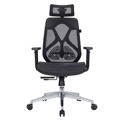 Ghế công thái học Ergonomic E-Dra EEC227