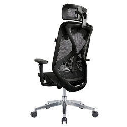 Ghế công thái học Ergonomic E-Dra EEC227