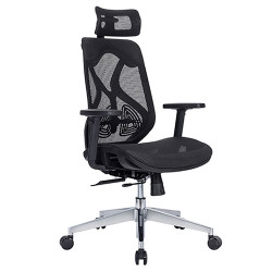 Ghế công thái học Ergonomic E-Dra EEC227