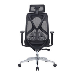 Ghế công thái học Ergonomic E-Dra EEC227