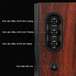 Loa HiVi Swan D1100 - Bản quốc tế - Màu nâu đậm (SPSW001)