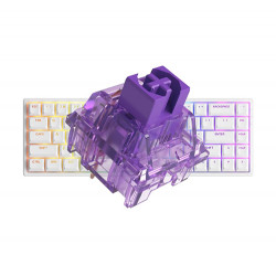 Bàn phím cơ AKKO 3068 v2 RGB White Akko CS Jelly Purple switch