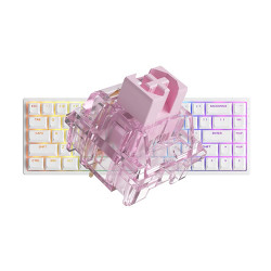 Bàn phím cơ AKKO 3068 v2 RGB White Akko CS Jelly Pink switch