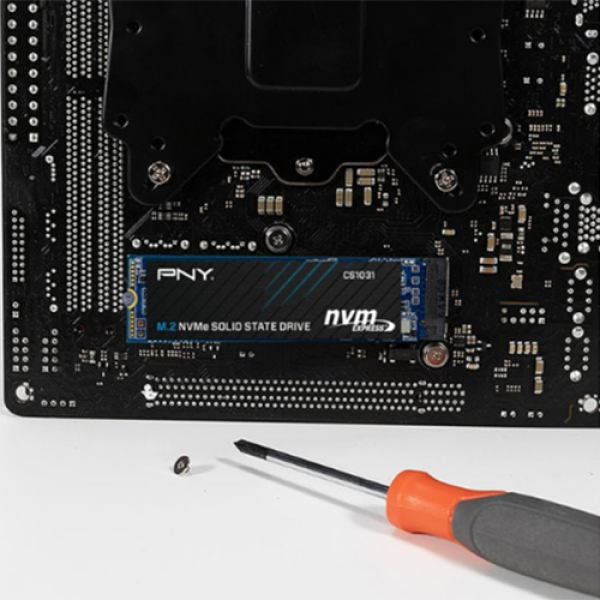 Ổ cứng SSD PNY CS1031 500GB NVMe M.2 2280 PCIe Gen 3.0 x4 (M280CS1031-500-CL)