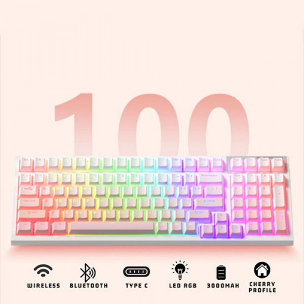 Bàn phím cơ FL-Esports FL100 CPM Sakura Pink Wireless FLCMMK Ice Pink Switch