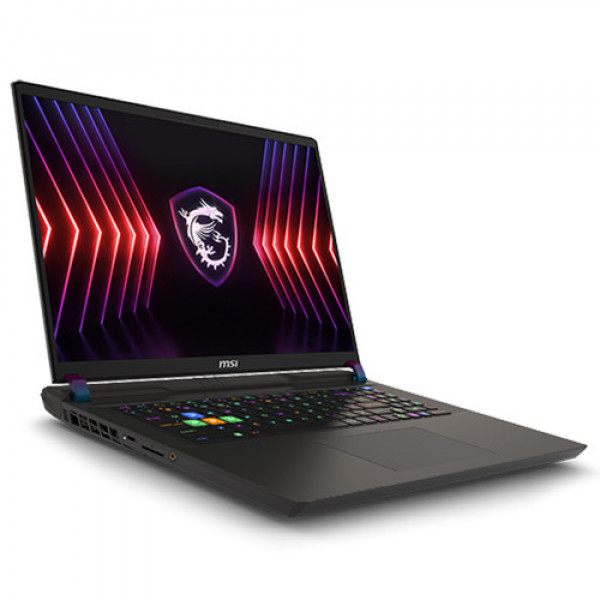 Laptop MSI Vector 17 HX A14VGG - 219US (Core™ i9-14900HX, Ram 32GB, 1TB SSD, RTX 4070, 17 inch QHD+ 240Hz , Win 11, Xám)