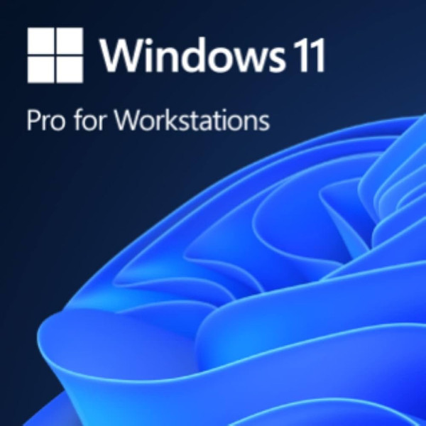 Phần mềm Microsoft Win 11 Pro for Workstation 64Bit Eng Intl 1pk DSP OEI DVD (HZV-00101)