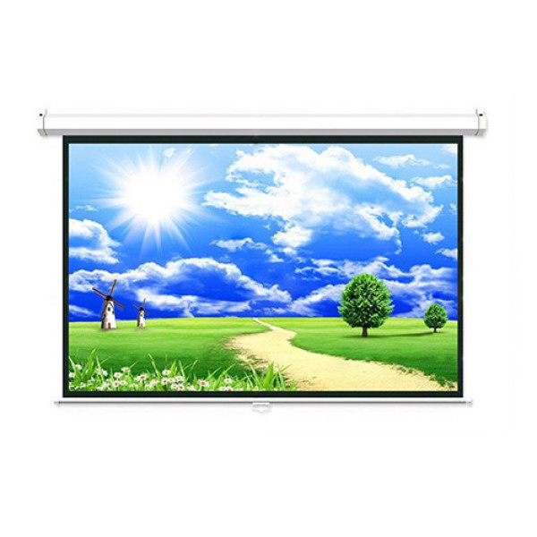 Màn chiếu treo Dalite P50WS (1m25 x 1m25 | 50 x 50 inch | Matte White)