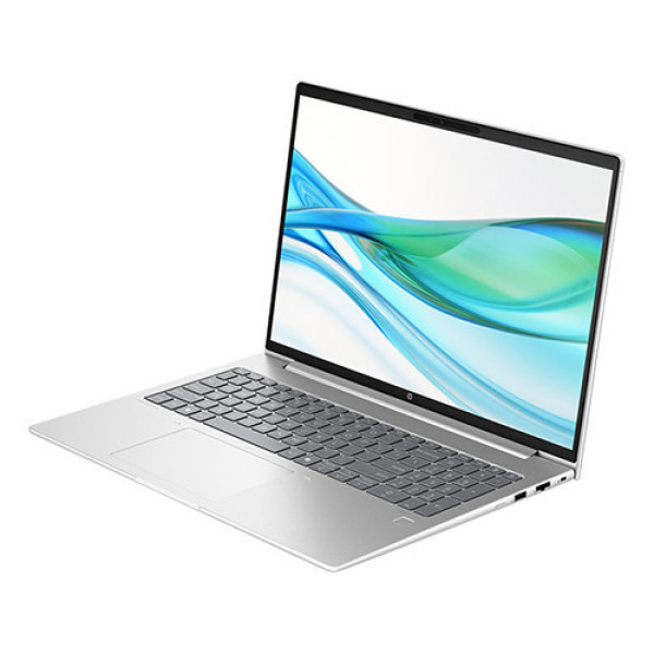 Laptop HP ProBook 465 G11 A8WS0PT (Ryzen 3-7335U | 8GB | 512GB | AMD Radeon 660M | 16 inch WUXGA | Win 11 | Bạc)