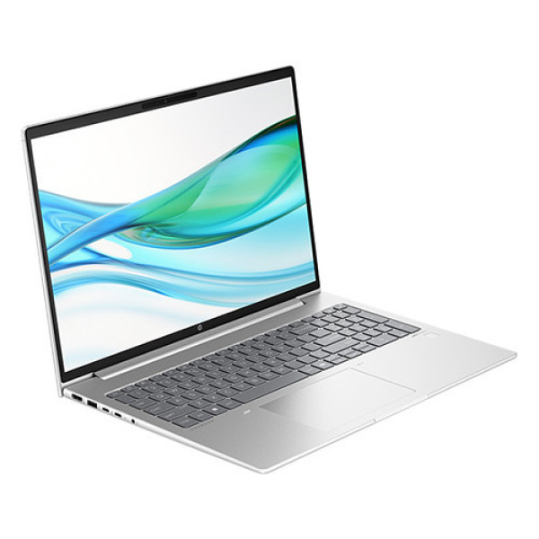 Laptop HP ProBook 465 G11 A8WS0PT (Ryzen 3-7335U | 8GB | 512GB | AMD Radeon 660M | 16 inch WUXGA | Win 11 | Bạc)