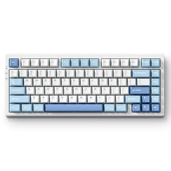Bàn phím cơ MCHOSE G75 Pro Blue Cabbage Tofu V2 switch