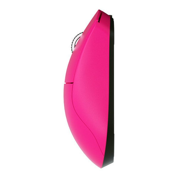 Chuột DareU EM950T Wireless Magenta