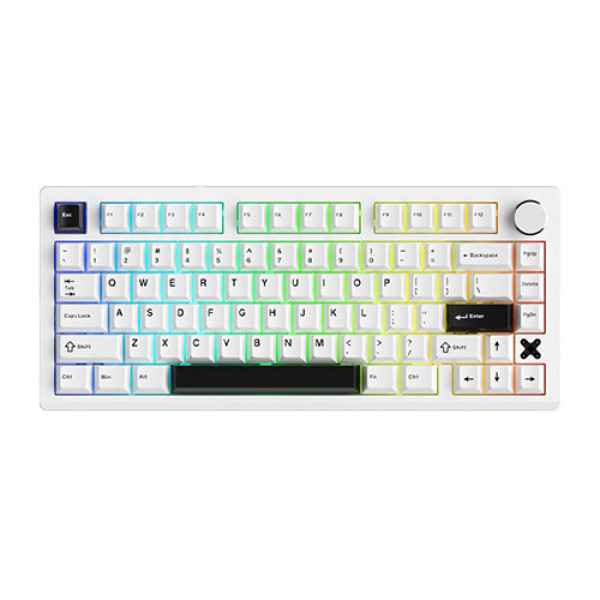 Bàn phím cơ DareU FLEX 75 White Black Pegasus switch