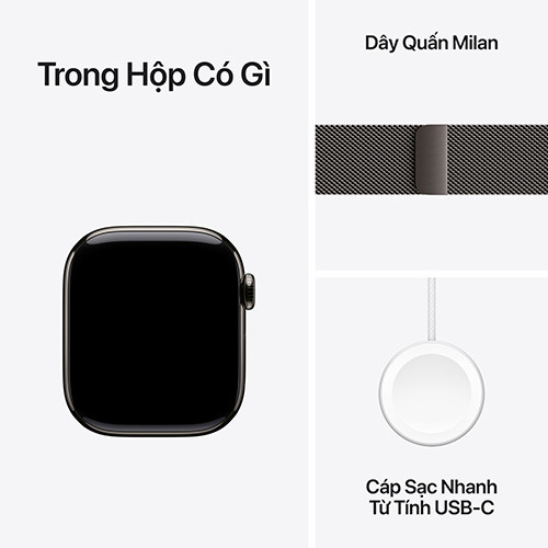 Apple Watch Series 11 Titan 46mm GPS + Cellular Milanese Loop Slate Grey size S/M (Apple VN)