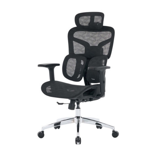 Ghế công thái học ergonomic E-Dra EEC226