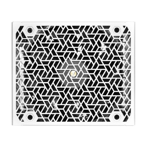 Nguồn máy tính SuperFlower LEADEX VIII Platinum PRO 1000W ATX 3.1 White