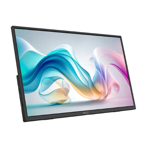 Màn hình di động MSI PRO MP165 E6 (15.6Inch | FHD | IPS | 60Hz | 4ms | Loa)